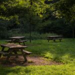 Dove fare un picnic sulle Madonie, partendo da Cefalù