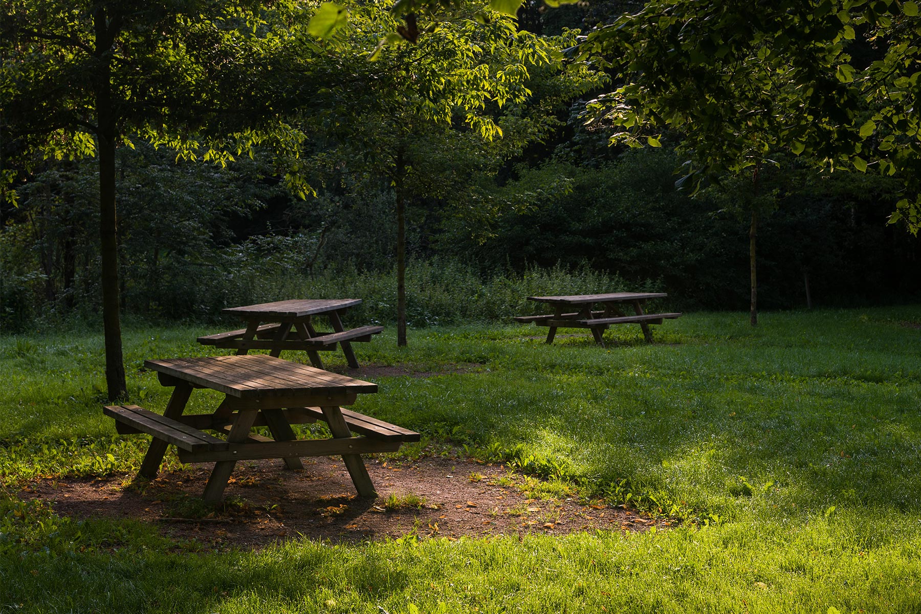 Dove fare un picnic sulle Madonie, partendo da Cefalù
